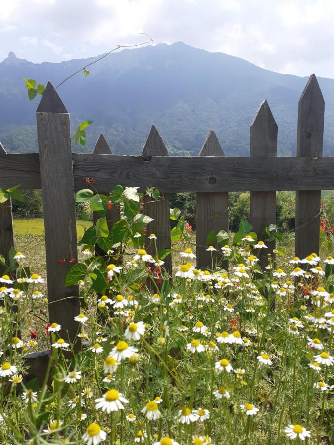 Coste Del Gaggio - Country House B&B - Garda Trentino Drena Exteriér fotografie